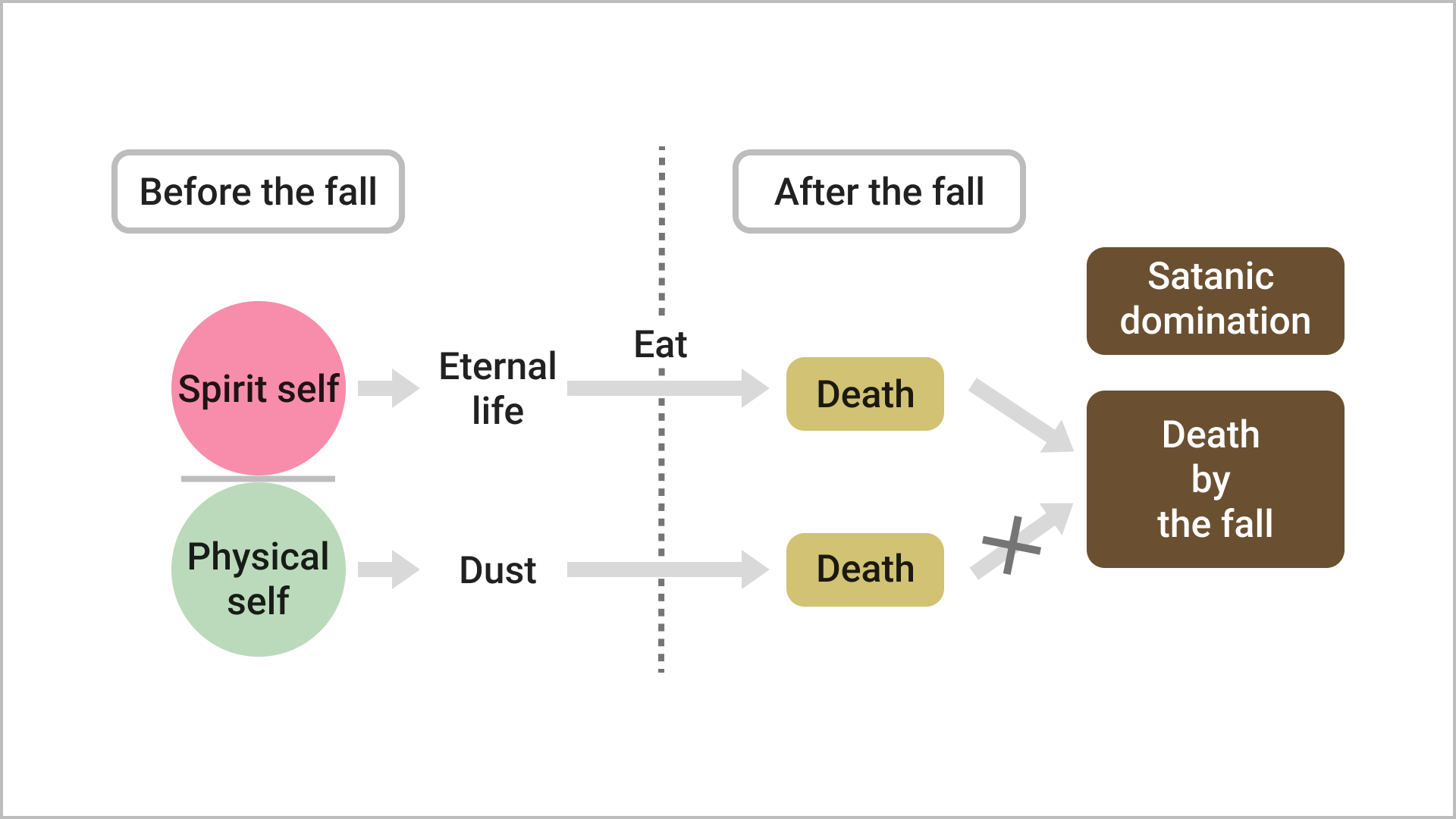 The Death Caused by the Human Fall